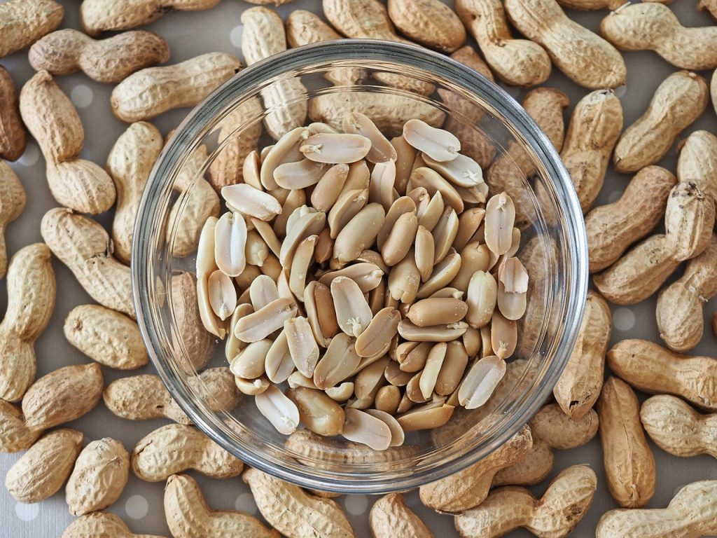 peanuts, legumes, nourishment-8314955.jpg
